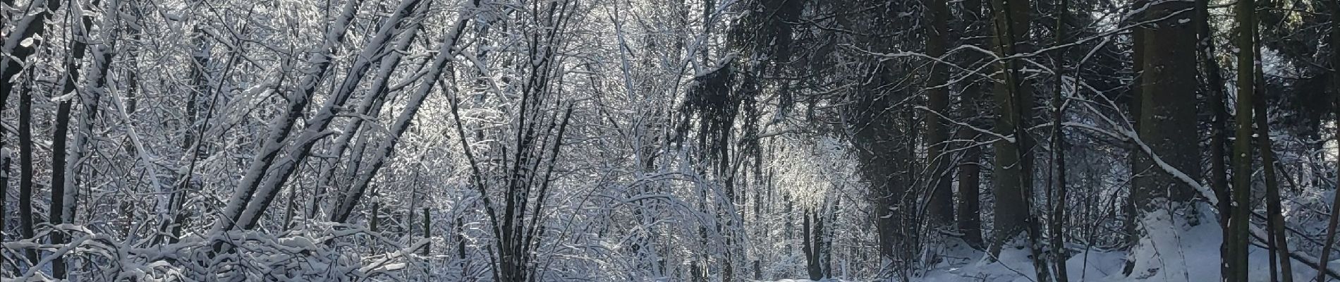 Tour Wandern Amel - Alentours Schoppen - Photo