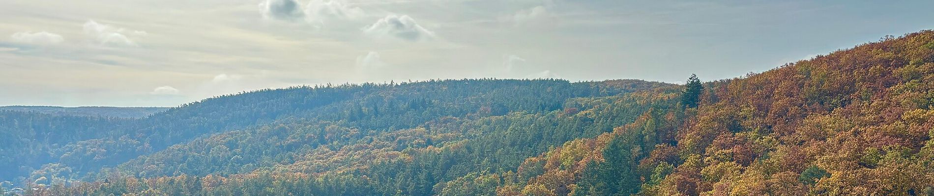 Tocht Te voet Brno - 5 km červená - Photo