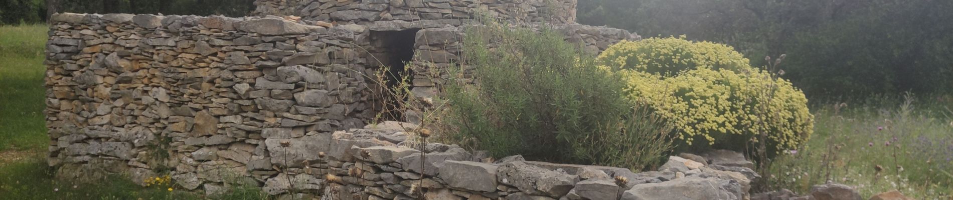 Tour Wandern Nîmes - Le Clos de Gaillard - été - Photo