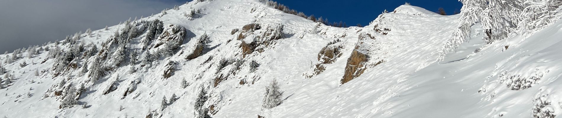 Percorso Racchette da neve Belvedere - Baisse de Ferisson 2 - Photo