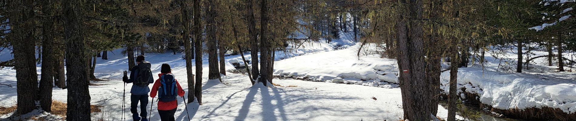 Tour Schneeschuhwandern Méolans-Revel - EMBRUN JOUR 5 : Valon du Lavercq - Photo