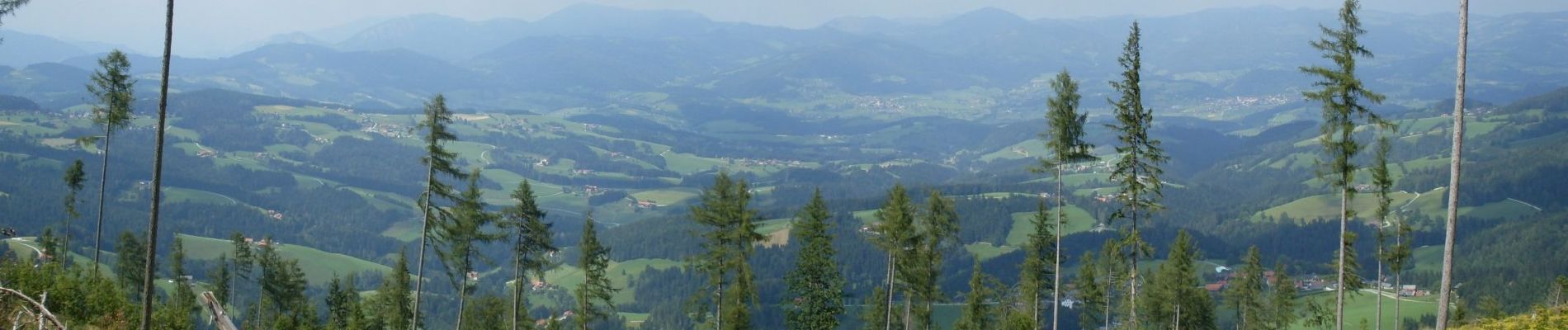 Randonnée A pied St. Radegund - Wanderweg 21 - Photo