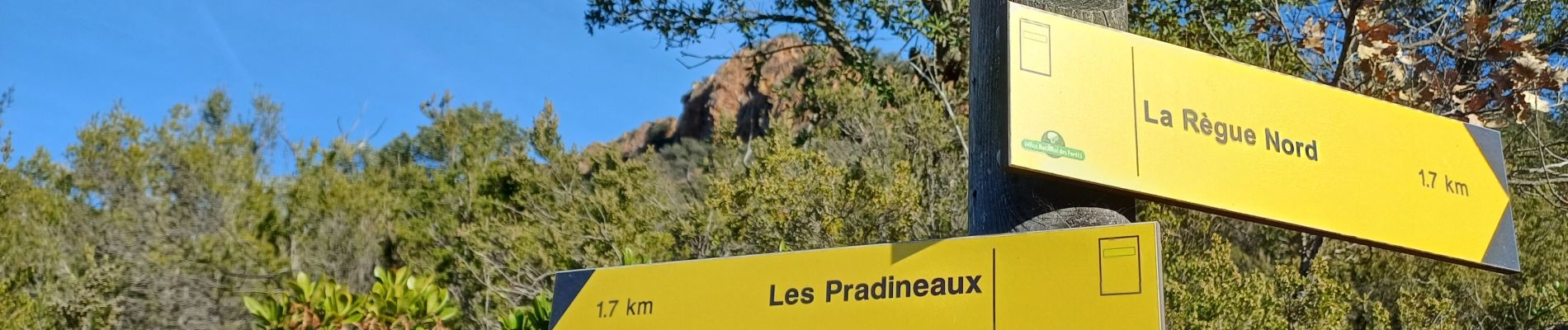 Randonnée Marche Le Muy - Le Castel Diaou  -  Crête Fille d'Isnard depuis le pont de L'Endre - Photo