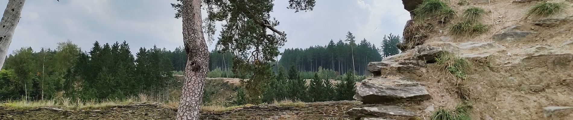 Randonnée A pied Konstantinovy Lázně - NS Šipín - Photo