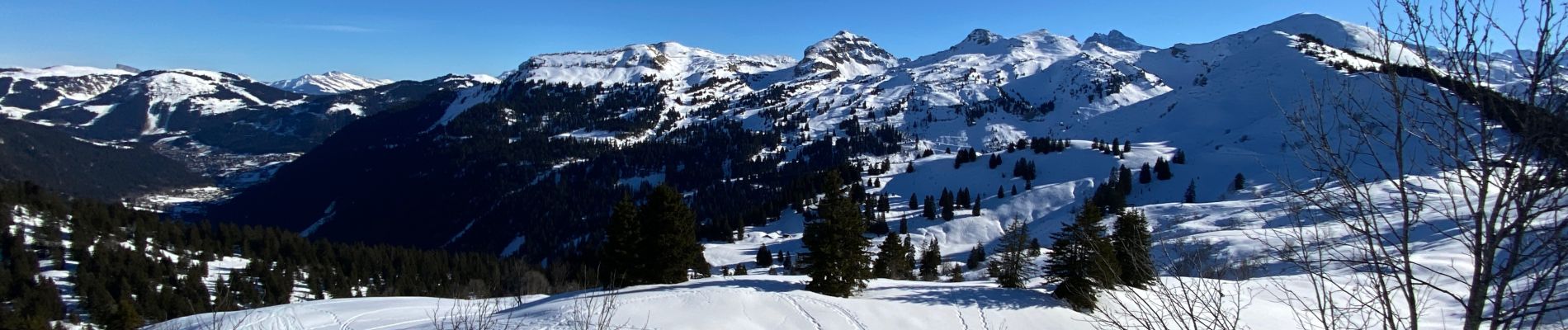 Tocht Sneeuwschoenen Châtel - Plaine Dranse - Pointe de Lens - Pré la Joux - Photo