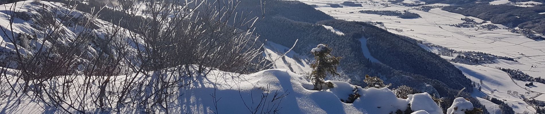 Tocht Sneeuwschoenen Lans-en-Vercors - Le Belvédère des Cimes par la cabane des Ramées et retour par la Croix des Ramées  - Photo