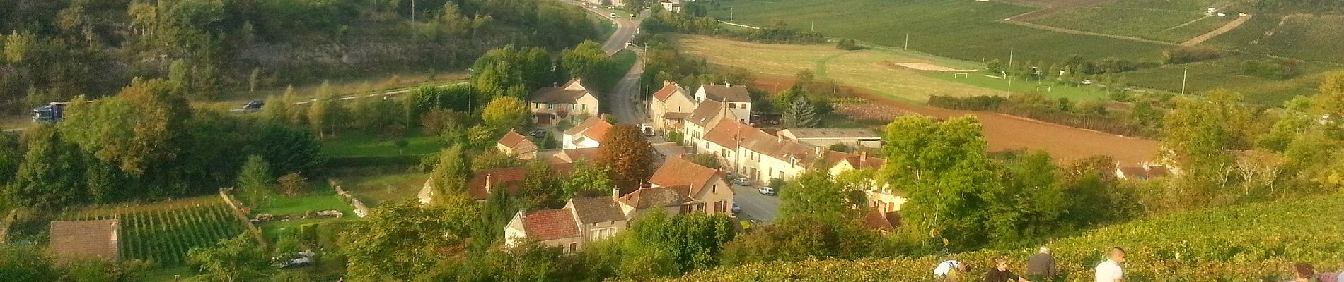 Randonnée A pied Meursault - Sentier Meursault-Blagny - Photo