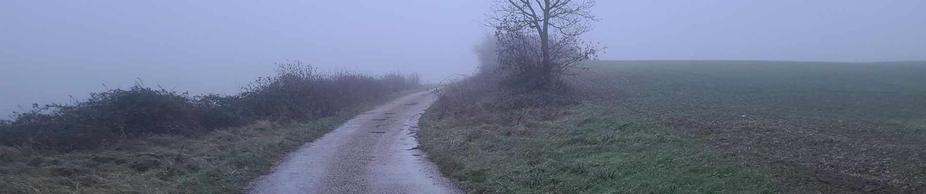 Trail Walking Saulny - saulny usine de verre - Photo