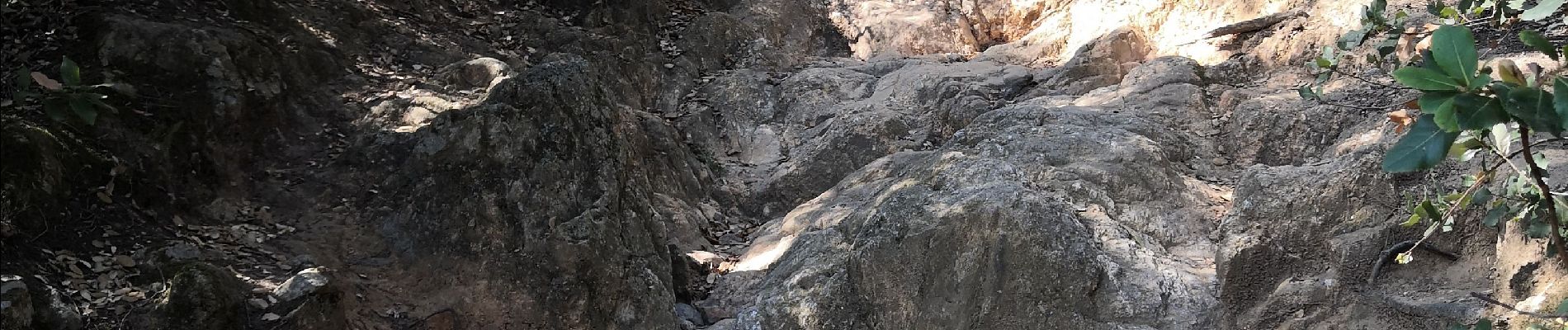 Tour Wandern Argelès-sur-Mer - dolmen plus chapelle st laurent - Photo