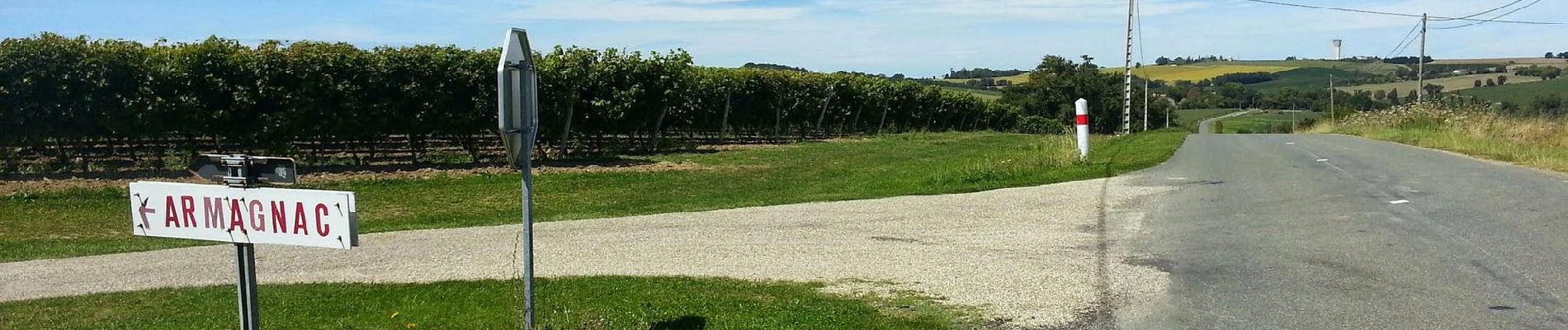 Excursión A pie Lannes - De Lannes à Mézin, le parfum de l'Armagnac-Ténarèze 9.6 km - Photo