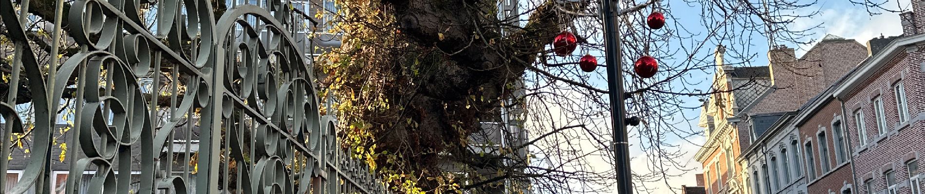 Tour Zu Fuß Landen - Landen - Sint Truiden 19 km - Photo