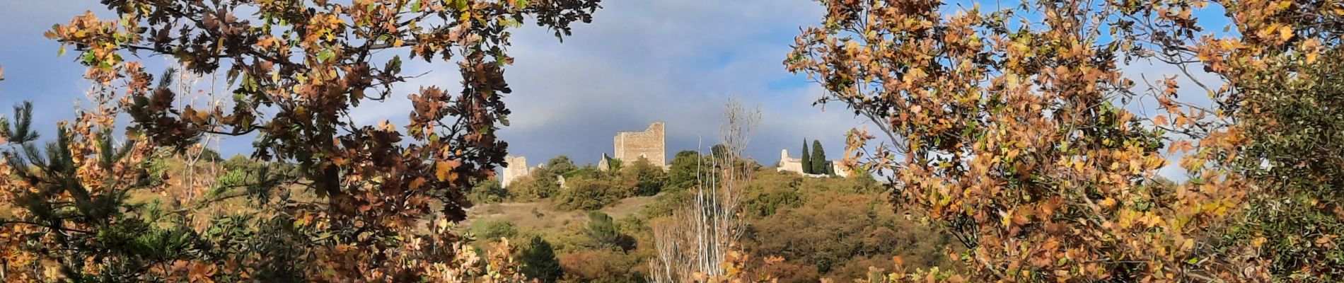 Trail Walking Rochefort-en-Valdaine - tmpWriteApidae_267713_fr - Photo