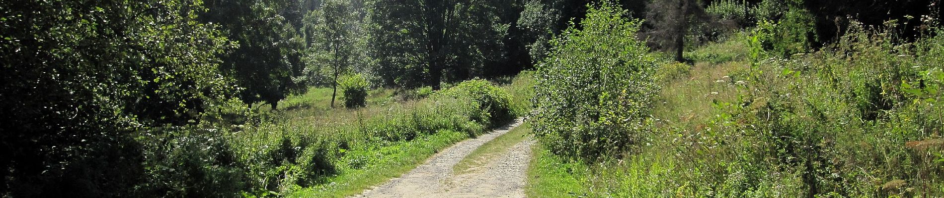 Trail On foot Krywe - Ścieżka przyrodniczo - historyczna 