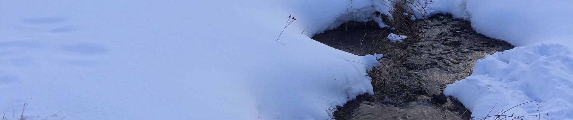 Percorso Racchette da neve Formiguères - Lac d’olive  - Photo