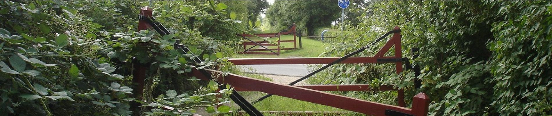 Tour Zu Fuß Unknown - Maribosøerne Rundt - Photo