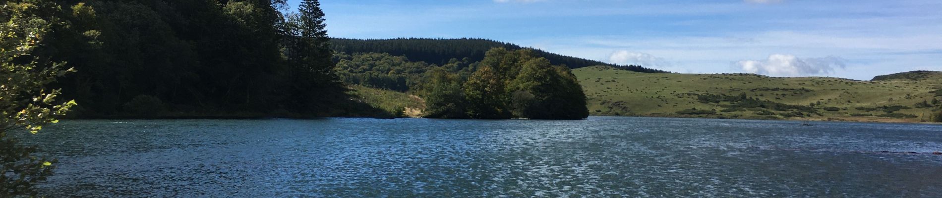 Excursión Senderismo Besse-et-Saint-Anastaise - Lac Pavin et Lac de Moncynère - Photo