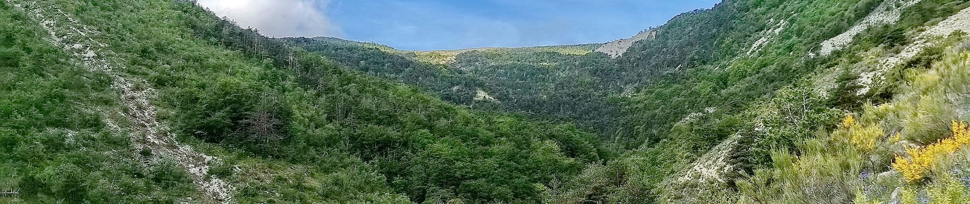 Trail Walking Le Saix - Montagne d'Aujour en boucle - Photo