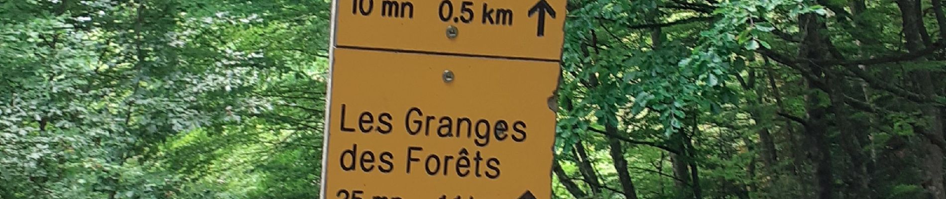 Randonnée Marche Lus-la-Croix-Haute - gîte la bergerie(vallon jarjatte)col de la croix , partie des crêtes et demi tour - Photo