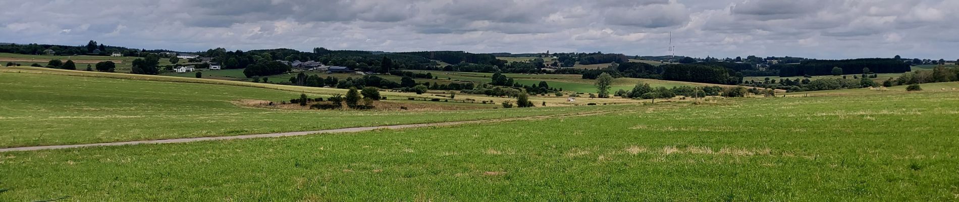 Randonnée Marche Habay - Anlier 310721 - Photo