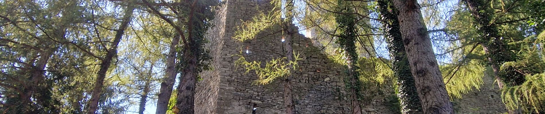 Excursión Senderismo Varenna - Sentiero del Viandante Varenna à Bellona - Photo