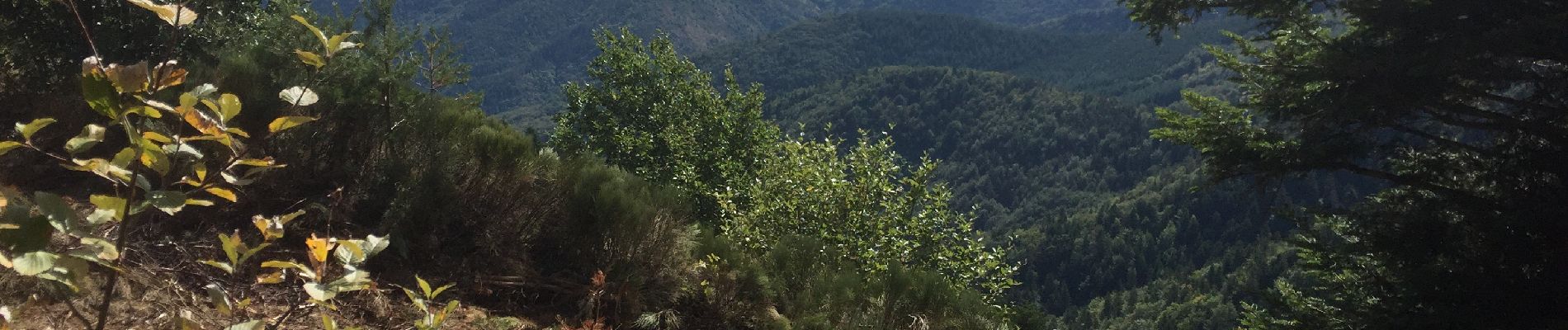 Tocht Stappen Saint-Martial - Gerbier de Jonc par St Martial - Photo