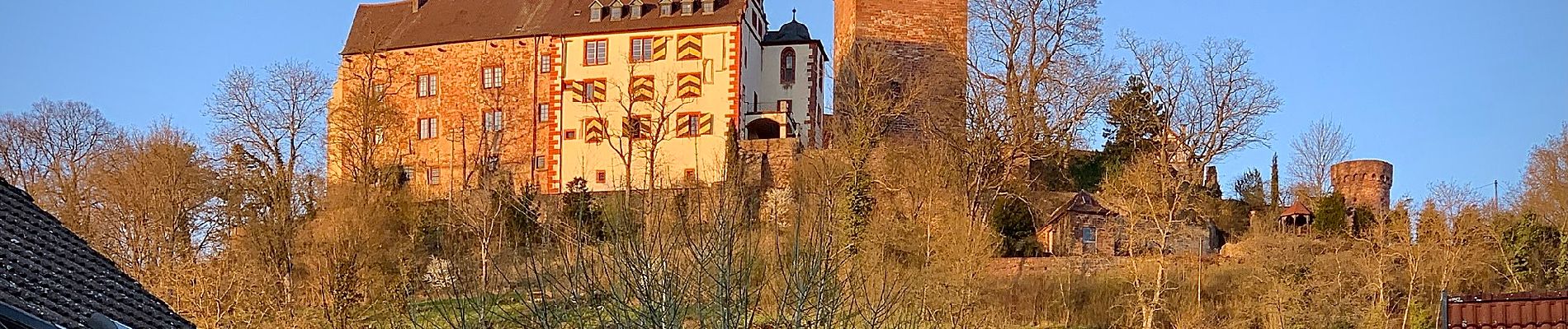 Percorso A piedi Werbach - Rundwanderweg Gamburg 1 - Photo