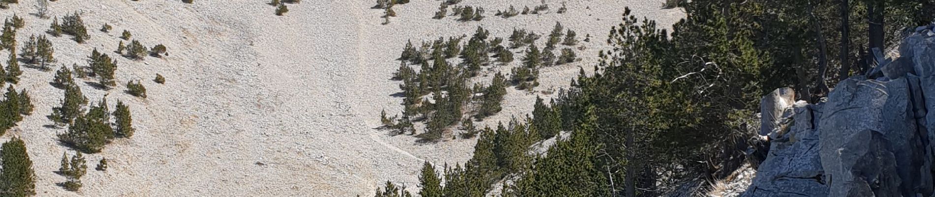 Tour Mountainbike Malaucène - Ventoux Malaucene - Photo