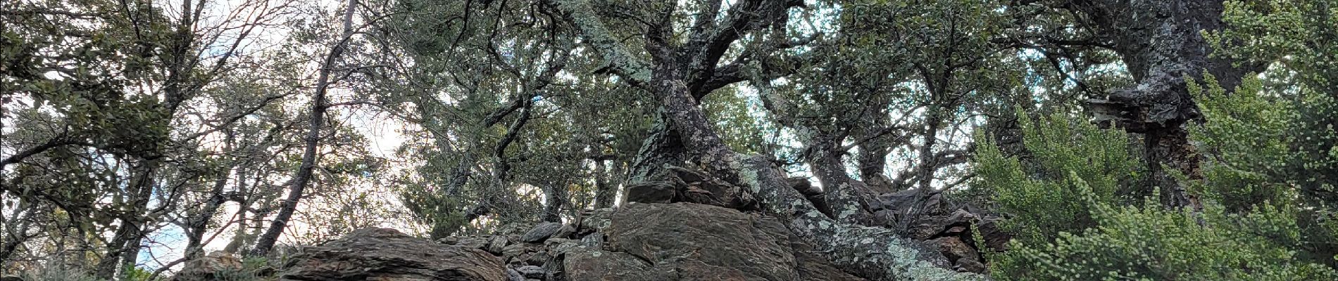 POI Roquebrune-sur-Argens - Unnamed POI - Photo