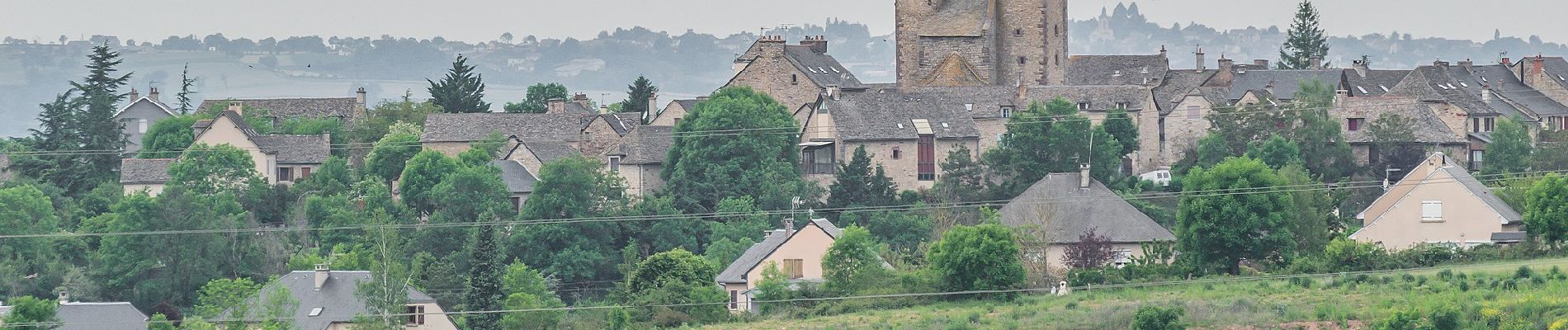 Trail On foot Sainte-Radegonde - Circuit 14 Sainte-Radegonde - Photo