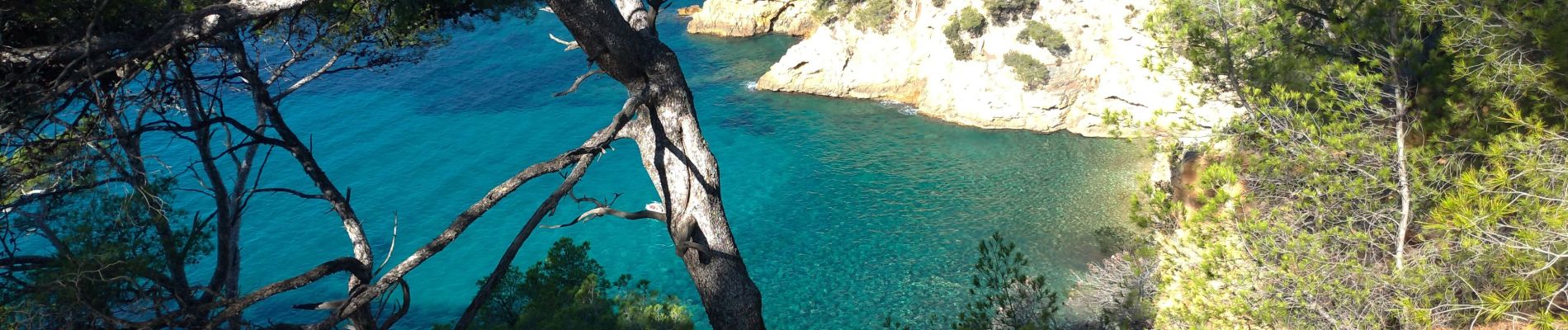 Tocht Stappen Bandol - Bandol Port d'Alon - Photo