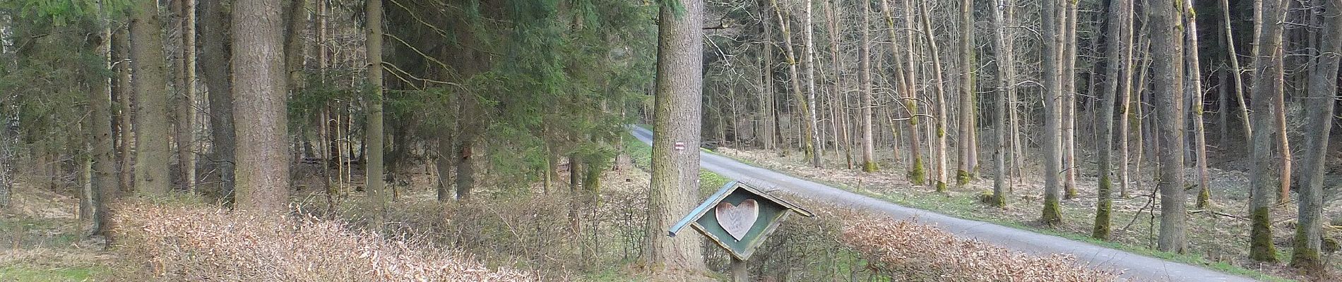 Tour Zu Fuß Pisek - [Č] Písek - Velká Brašna - Photo