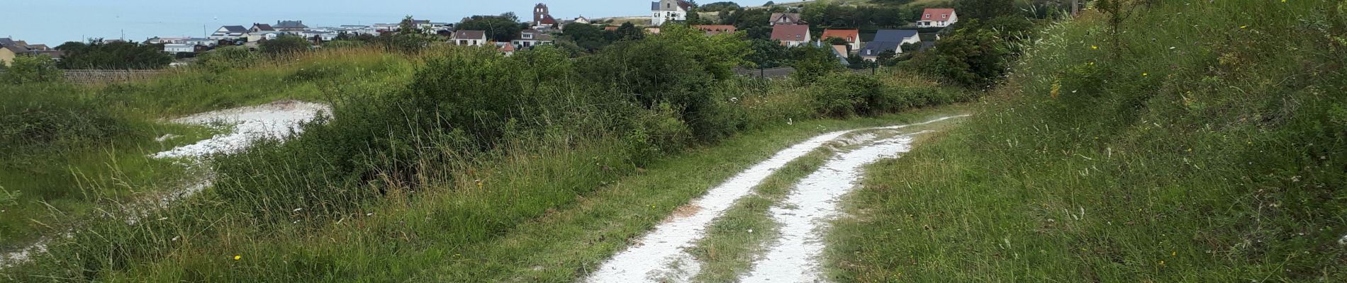 Excursión Senderismo Mers-les-Bains - Falaise, mouettes, ville et campagne  - Photo