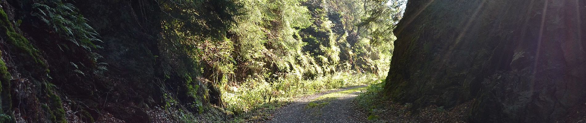 Randonnée A pied Harz (Landkreis Göttingen) - Harzer Baudensteig Etappe 5 - Photo