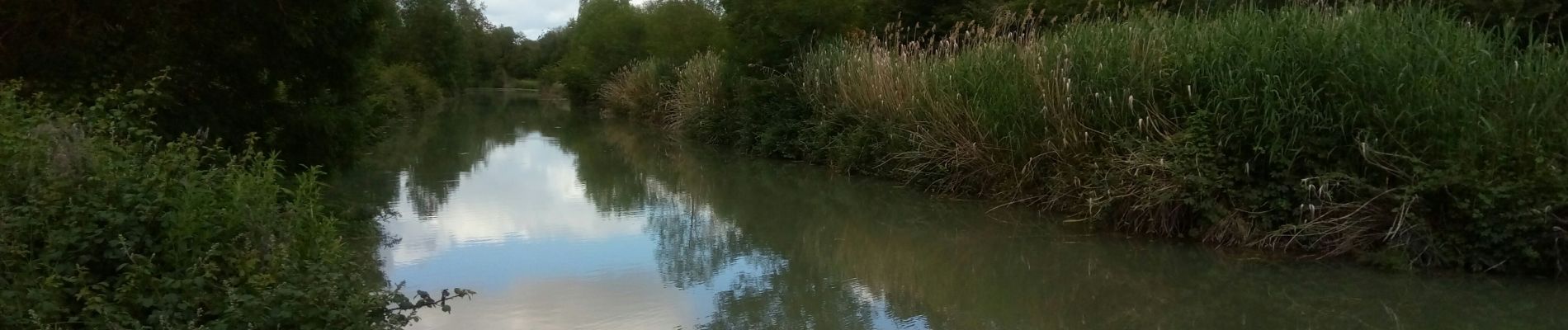 Tocht Hybride fiets Rochefort - Rochefort -  les marais du Nord  - Photo