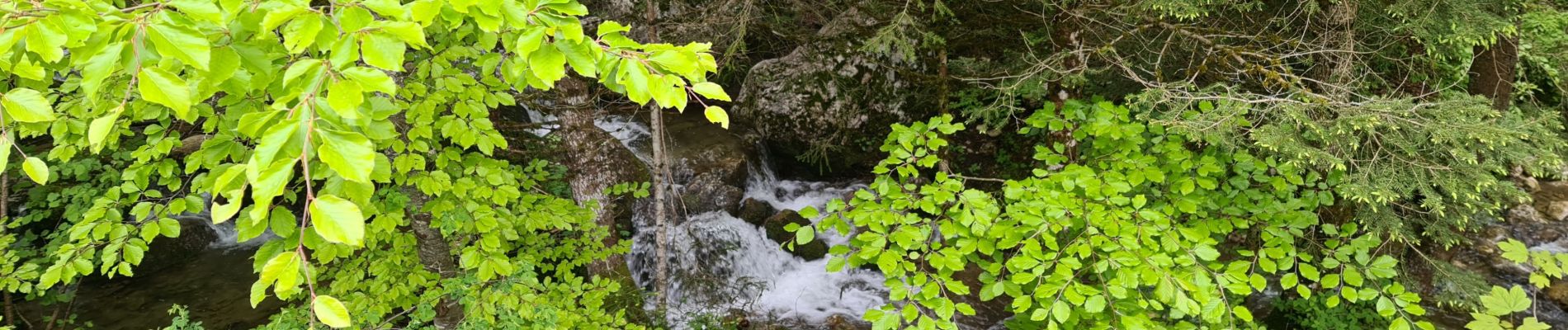 Tocht Stappen Villard-de-Lans - Villard de Lans - les clots - bergerie de la fauge  - refuge - clos du four - fontaine magdelen- retour parking des clots - Photo