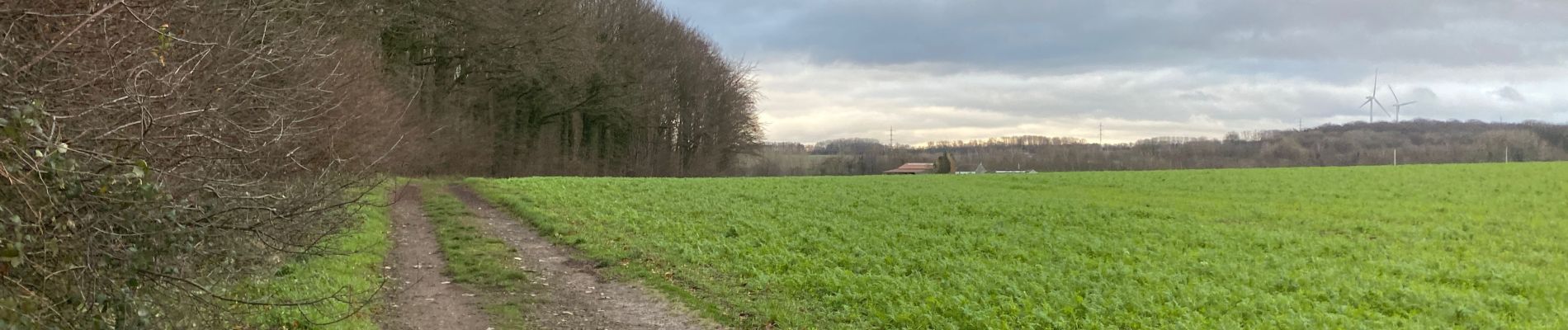 Excursión Senderismo Nivelles - Monstreux 21 km - Photo