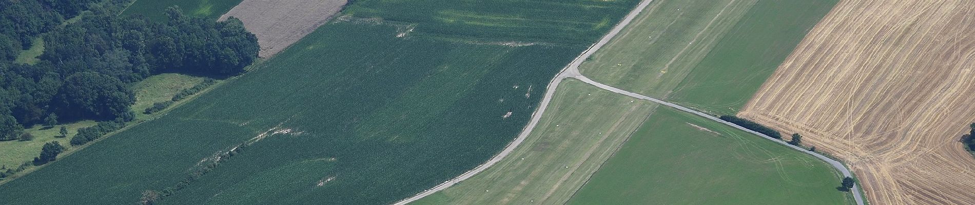 Tour Zu Fuß Neuensorger Forst - Lichtenfelser Nordweg - Photo