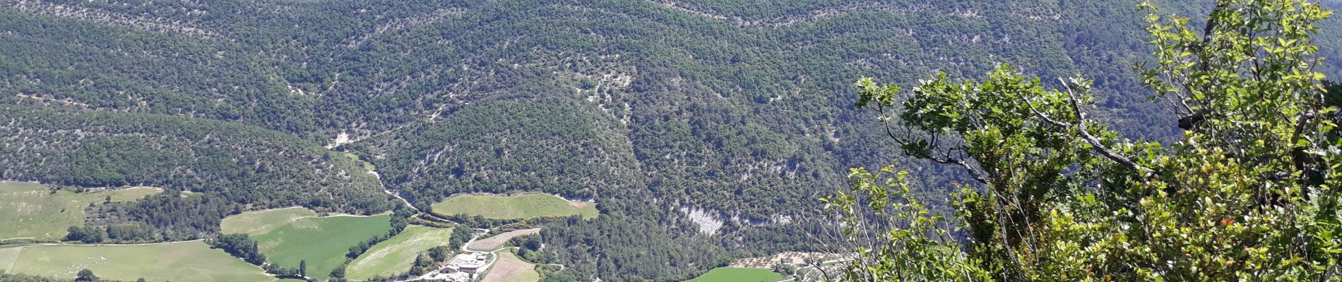 Tour Wandern Nyons - Montagne de Vaux - Photo