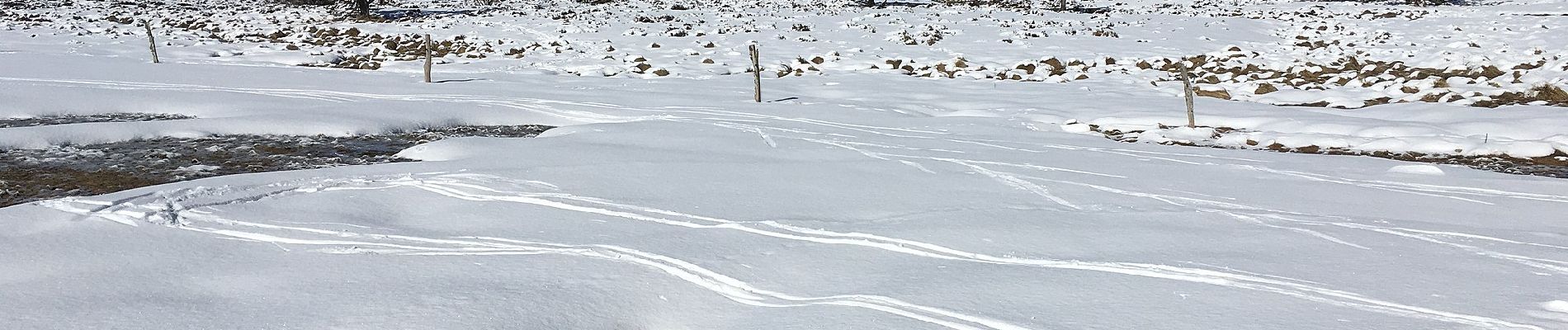 Randonnée A pied Valcivières - Les Hautes Chaumes - Photo