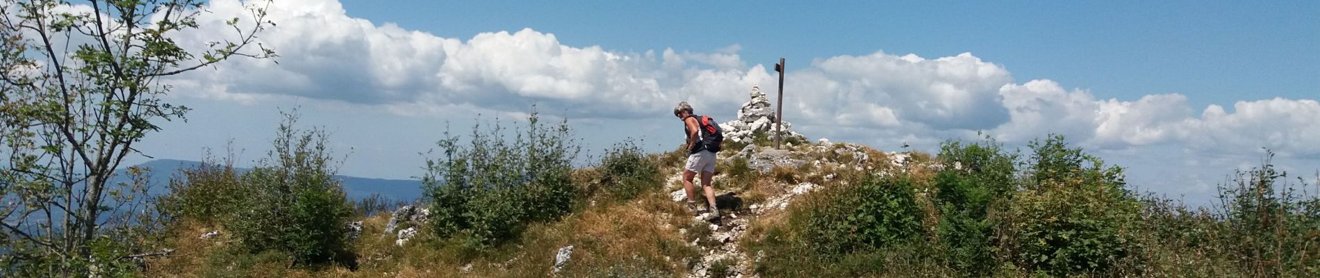 Excursión Senderismo Ontex - MONT DE LA CHARVAZ: POINT GEODESIQUE DE LA CHARVAZ - Photo