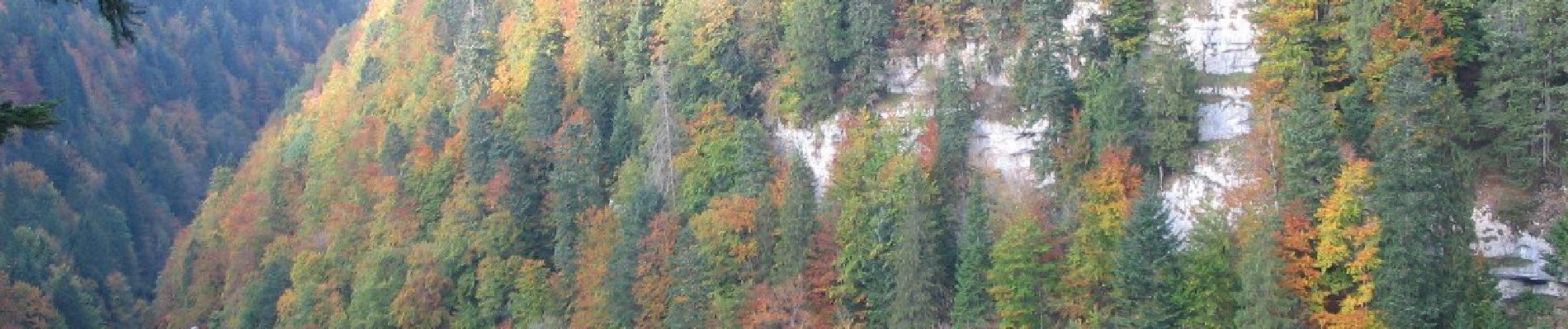 Randonnée A pied Les Planchettes - Barrage du Châtelot - Saut du Doubs - Photo