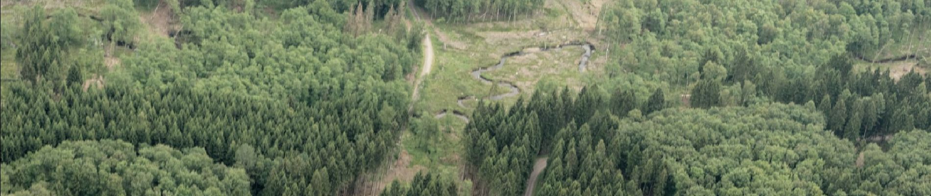 Percorso A piedi Möhnesee - Kreuzeiche Rundweg A2 - Photo