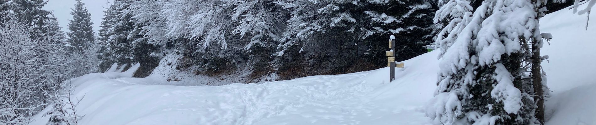 Percorso Racchette da neve La Clusaz - Le Clusaz  - Photo