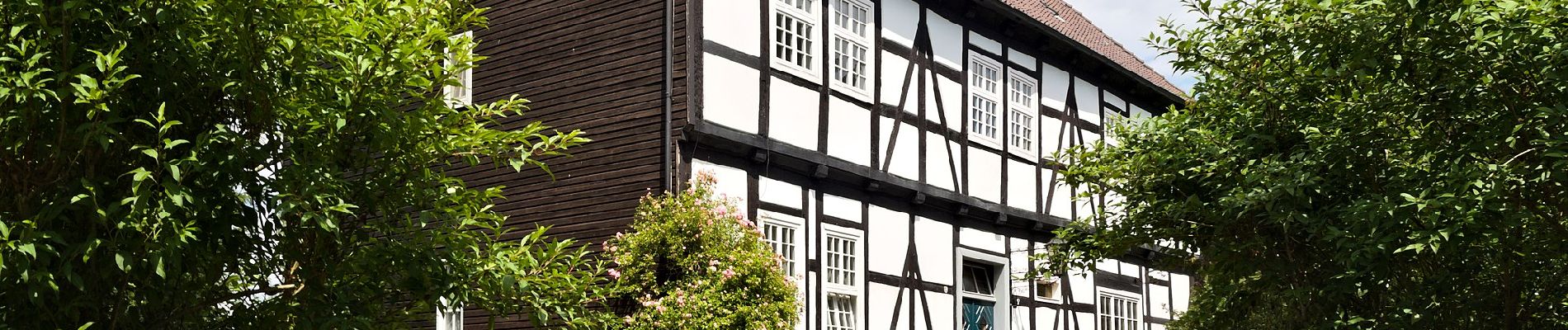 Tocht Te voet Stemwede - Rundweg Levern - Die Kirche im Blick - Photo