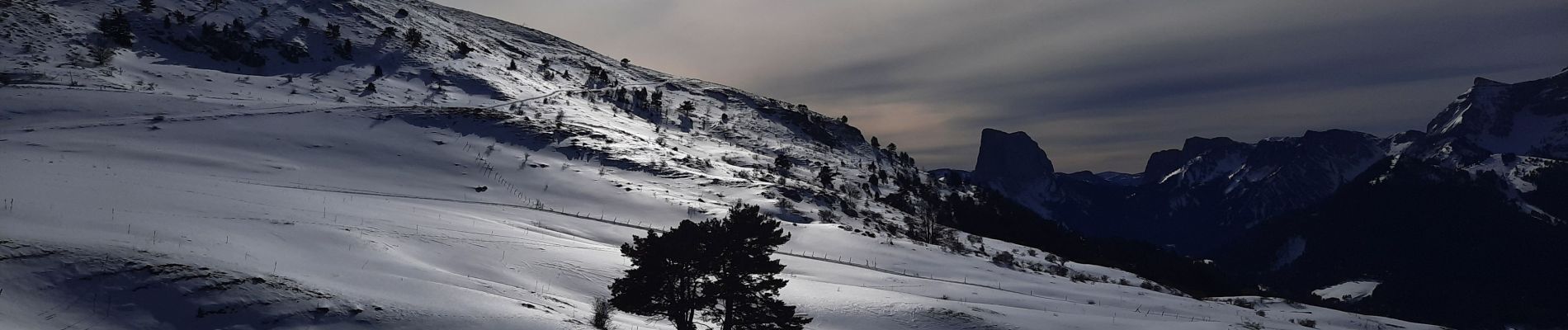 Tocht Stappen Gresse-en-Vercors - Pas du Serpaton - Photo