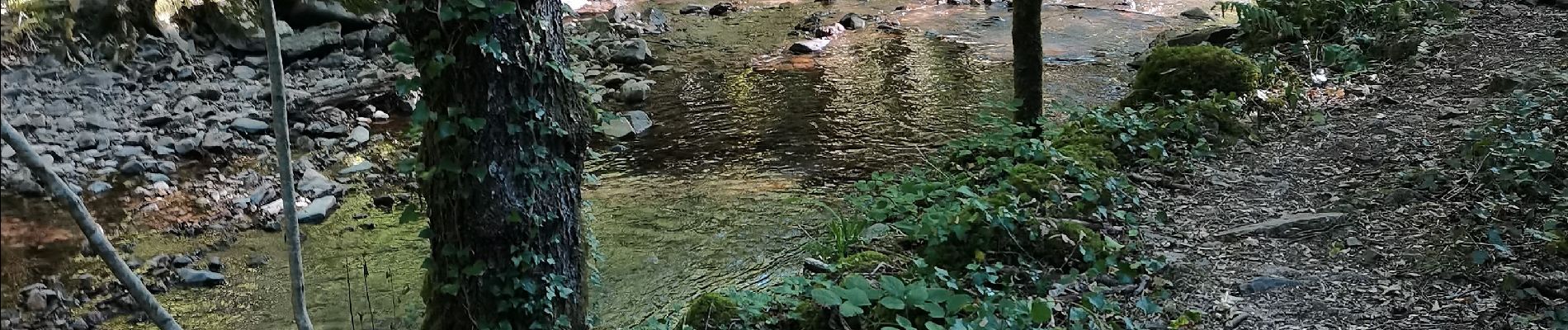 Tour Wandern Ladirat - vallée heureuse  - Photo