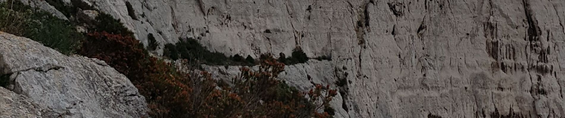 Excursión Senderismo Marsella - 13  Calanques Marseilleveyre par le Pas de la Demi lune - Photo