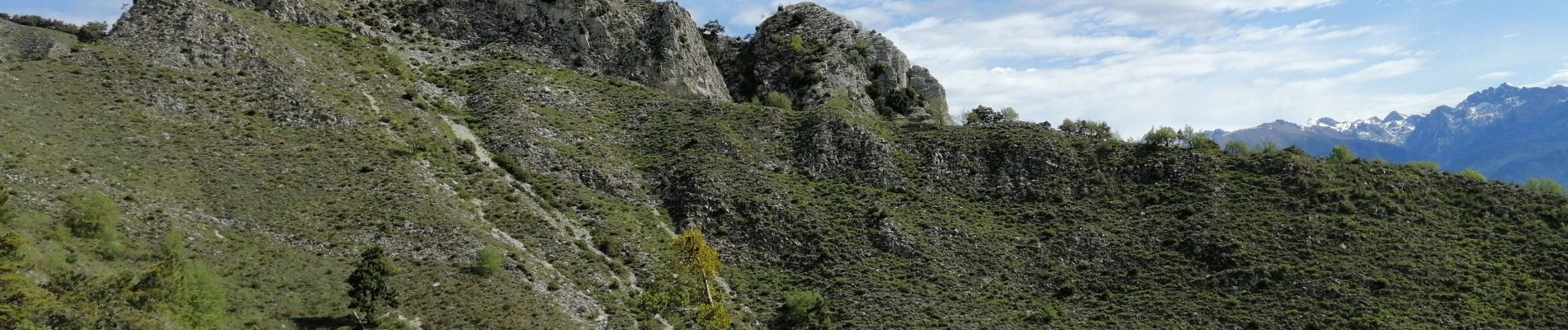 Tocht Stappen Utelle - Brec d'utelle  - Photo