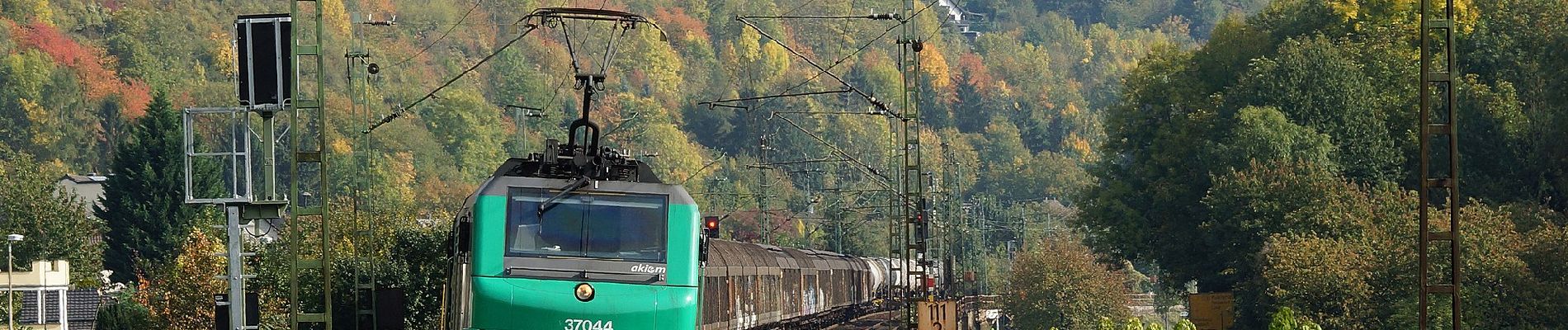 Randonnée A pied Vettelschoß - Rheinsteig-Zuweg Kalenborn - Photo