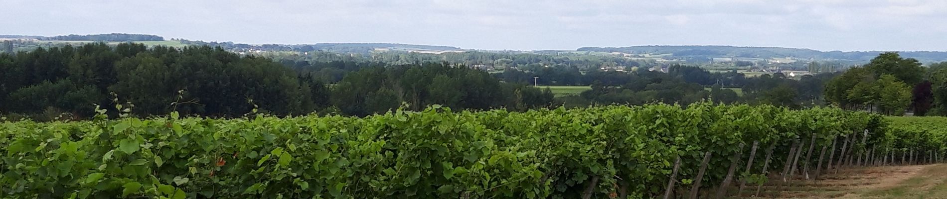 Excursión Senderismo Cravant-les-Côteaux - Cravant les coteaux (vieux bourg) - Photo